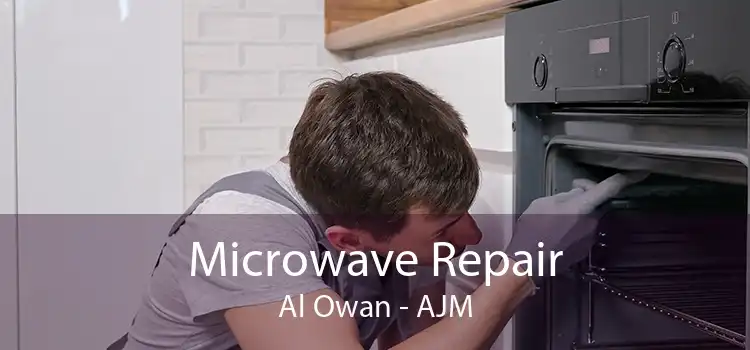 Microwave Repair Al Owan - AJM