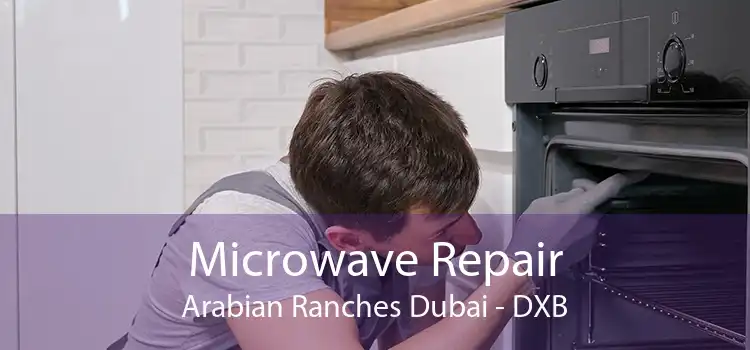 Microwave Repair Arabian Ranches Dubai - DXB