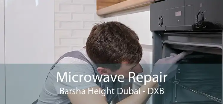 Microwave Repair Barsha Height Dubai - DXB