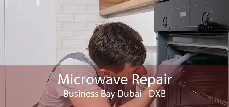 Microwave Repair Business Bay Dubai - DXB