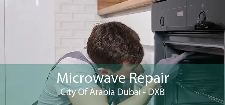 Microwave Repair City Of Arabia Dubai - DXB