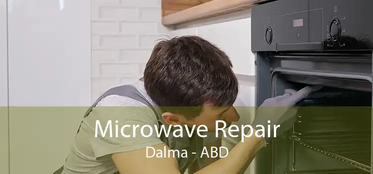 Microwave Repair Dalma - ABD