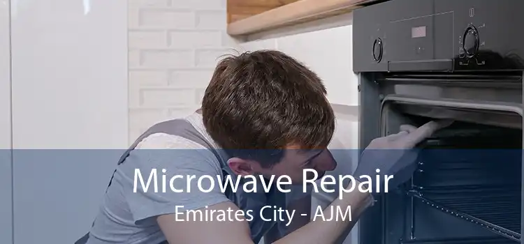 Microwave Repair Emirates City - AJM