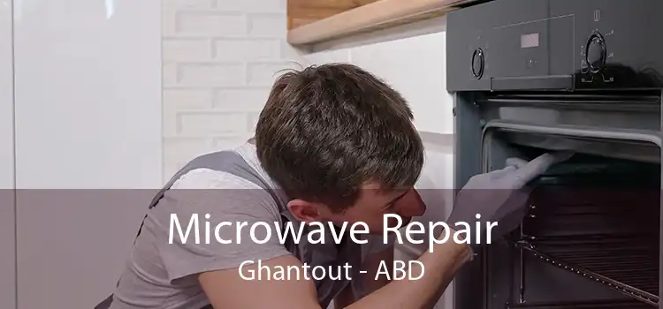 Microwave Repair Ghantout - ABD