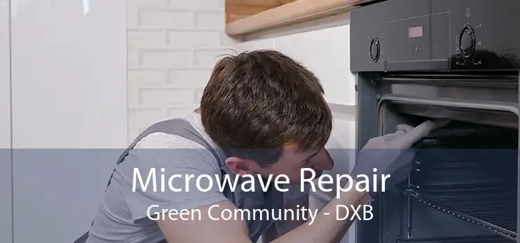 Microwave Repair Green Community - DXB