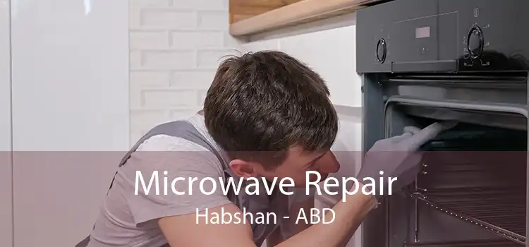 Microwave Repair Habshan - ABD