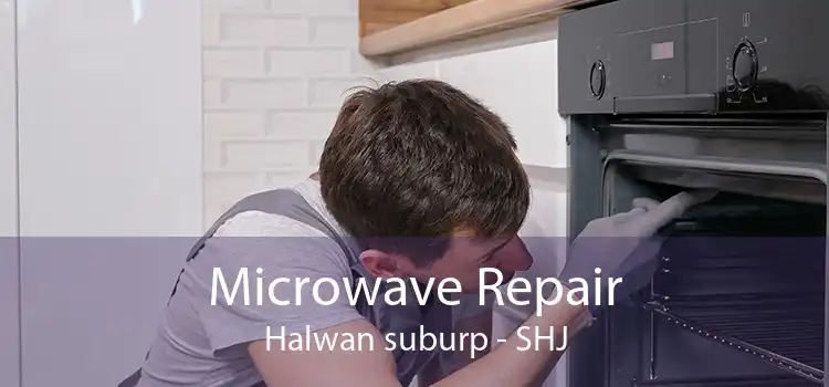 Microwave Repair Halwan suburp - SHJ