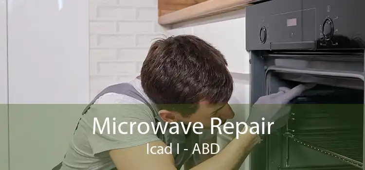 Microwave Repair Icad I - ABD