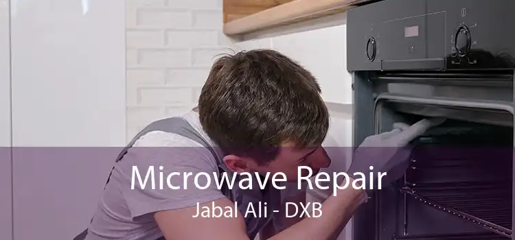 Microwave Repair Jabal Ali - DXB