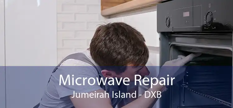 Microwave Repair Jumeirah Island - DXB