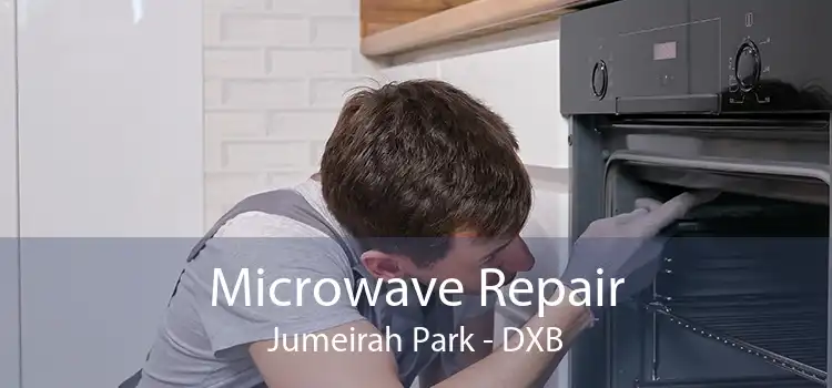 Microwave Repair Jumeirah Park - DXB