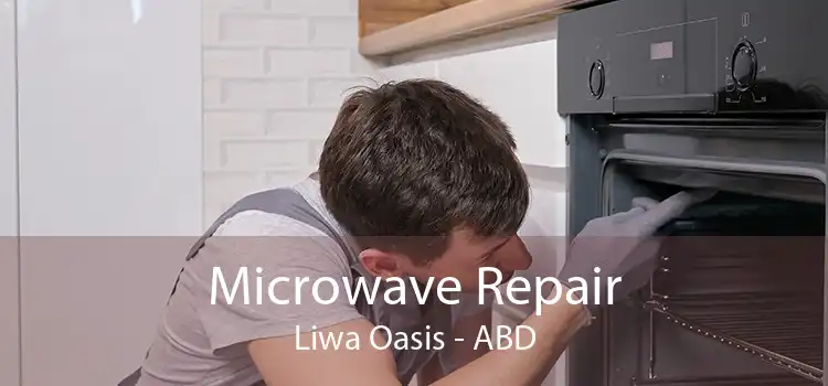 Microwave Repair Liwa Oasis - ABD