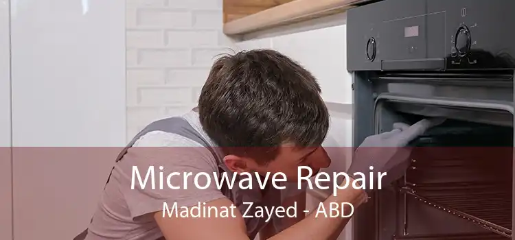 Microwave Repair Madinat Zayed - ABD