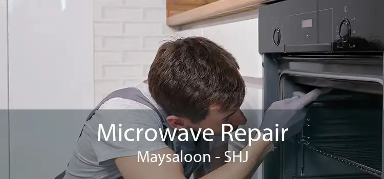 Microwave Repair Maysaloon - SHJ