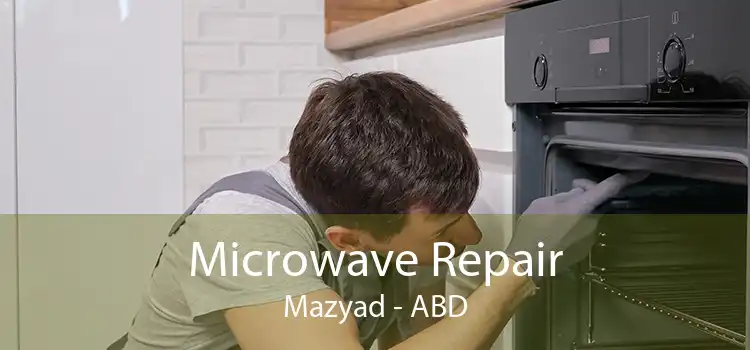 Microwave Repair Mazyad - ABD