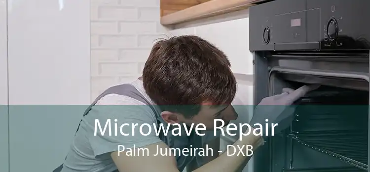 Microwave Repair Palm Jumeirah - DXB