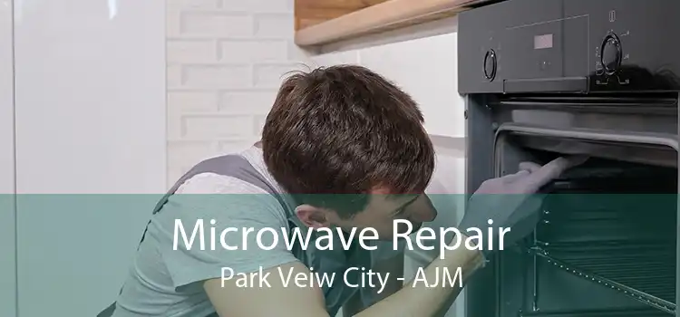 Microwave Repair Park Veiw City - AJM