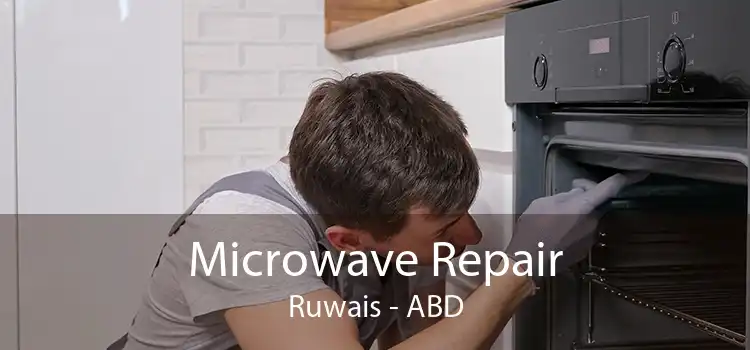 Microwave Repair Ruwais - ABD