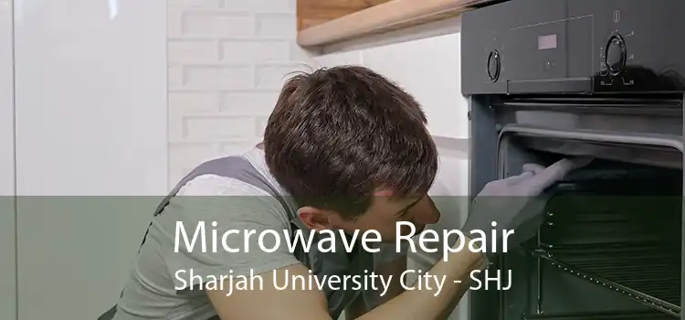 Microwave Repair Sharjah University City - SHJ