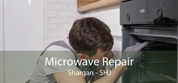 Microwave Repair Sharqan - SHJ