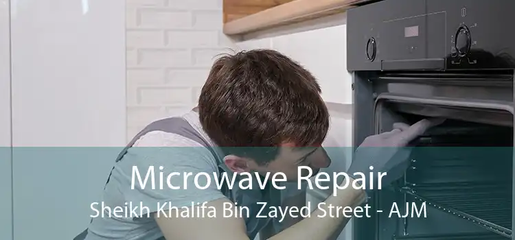 Microwave Repair Sheikh Khalifa Bin Zayed Street - AJM