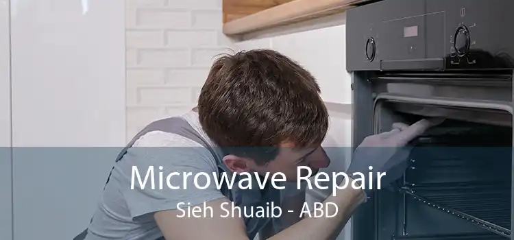 Microwave Repair Sieh Shuaib - ABD