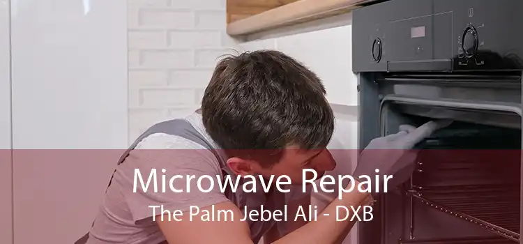 Microwave Repair The Palm Jebel Ali - DXB