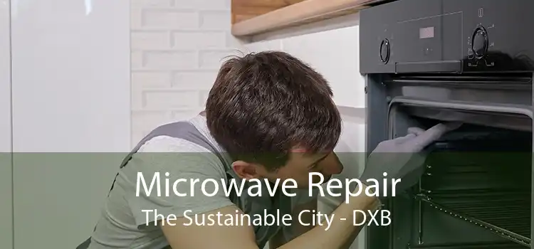 Microwave Repair The Sustainable City - DXB