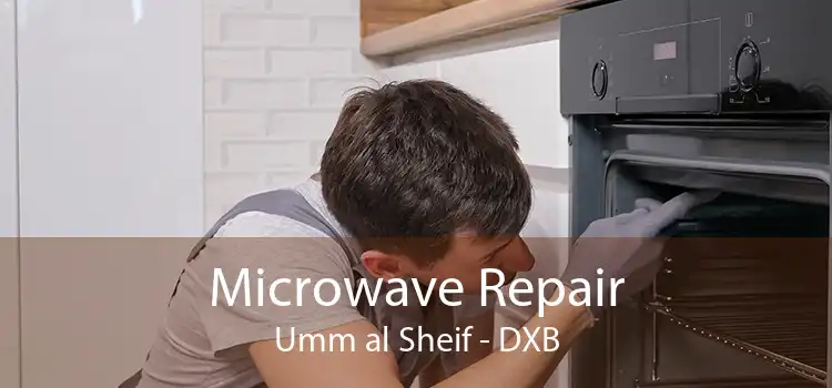 Microwave Repair Umm al Sheif - DXB