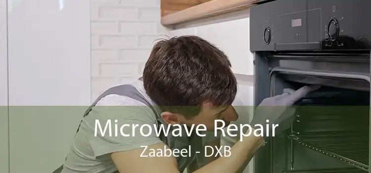 Microwave Repair Zaabeel - DXB