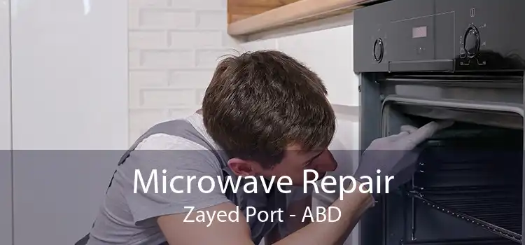 Microwave Repair Zayed Port - ABD