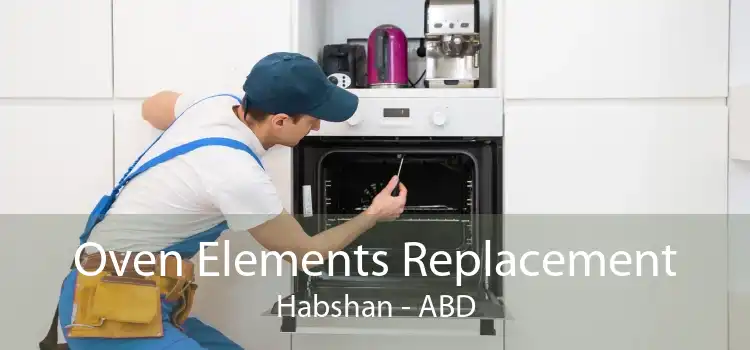 Oven Elements Replacement Habshan - ABD