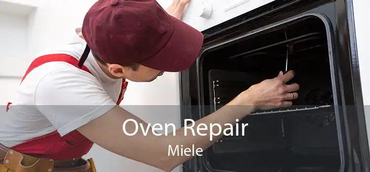 Oven Repair Miele