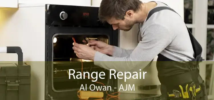 Range Repair Al Owan - AJM