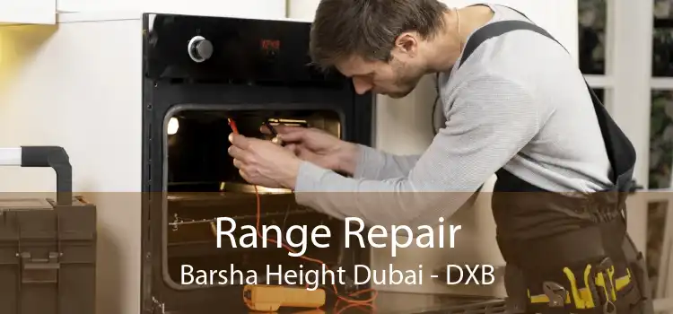 Range Repair Barsha Height Dubai - DXB