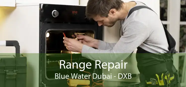 Range Repair Blue Water Dubai - DXB