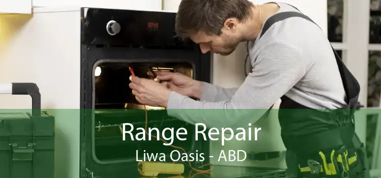 Range Repair Liwa Oasis - ABD