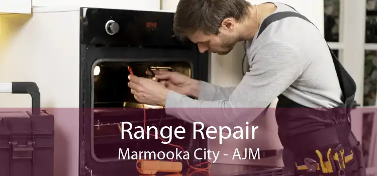 Range Repair Marmooka City - AJM