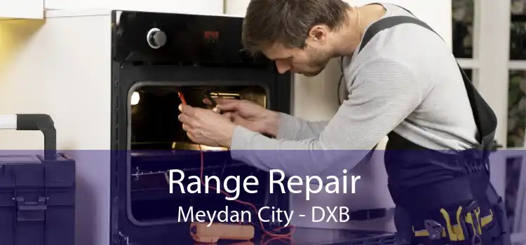 Range Repair Meydan City - DXB