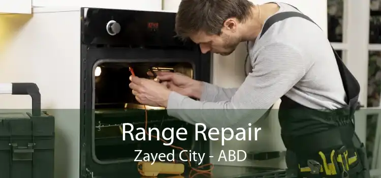 Range Repair Zayed City - ABD