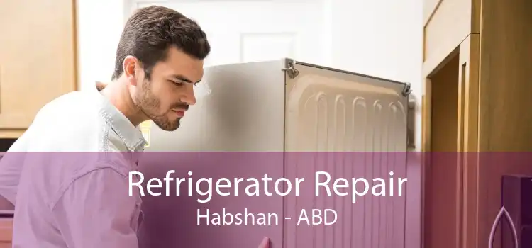 Refrigerator Repair Habshan - ABD